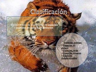 ClasificaciónExisten 5 tipos de clasificación de especies animales en peligro en extinciónEspecies extintas