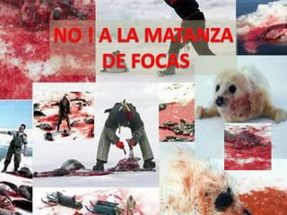 Principales causasEsto puede surgir debido a :la depredación  directa 