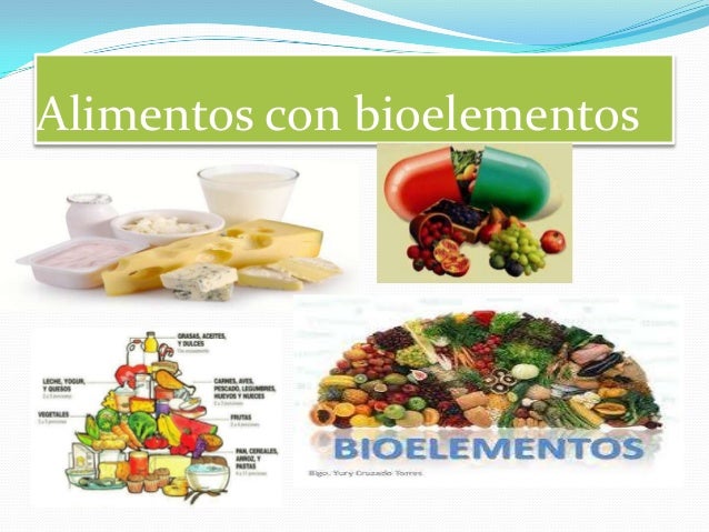 En Que Alimentos Se Encuentran Los Bioelementos