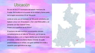 Ubicación
Es uno de los 217 municipios del estado mexicano de
Puebla. Se localiza en el sureste de la entidad y forma parte
de la región económica VII de Tehuacán.
Limita al norte con el municipio de Tehuacán; al oriente con
Ajalpan; al sur con Zinacatepec y San José Miahuatlán; y al
poniente con San Gabriel Chilac.
Posee una superficie de 63,78 km²
El territorio de este municipio se encuentra ubicado
completamente en el Valle de Tehuacán, por lo que su
relieve es plano y con un ligero declive que se levanta hacia
el noreste, rumbo a la Sierra Madre Oriental. El suelo
predominante es el vertisol, con gran cantidad de arcilla y
vocación para agricultura de riego.
 
