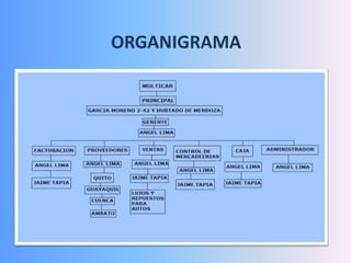 ORGANIGRAMA
 