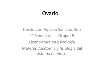 Ovario

Hecho por: Agustín Sánchez Ruíz
   1° Semestre     Grupo: B
   Licenciatura en psicología
Materia: Anatomía y fisiología del
       sistema nervioso.
 