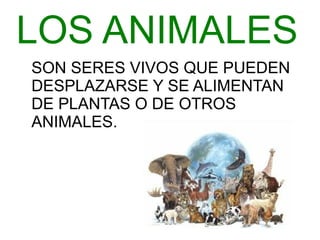 LOS ANIMALES SON SERES VIVOS QUE PUEDEN DESPLAZARSE Y SE ALIMENTAN DE PLANTAS O DE OTROS ANIMALES.  
