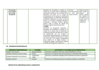 identifica las necesidades y cambios en el
estado de su cuerpo, como la respiración y
sudoración después de una actividad física.
Reconoce las partes de su cuerpo al
relacionarlas con sus acciones y nombrarlas
espontáneamente en diferentes situaciones
cotidianas. Representa su cuerpo (o los de
otros) a su manera, utilizando diferentes
materiales y haciendo evidentes algunas
partes, como la cabeza, los brazos, las
piernas y algunos elementos del rostro.
5 AÑOS:
Reconoce sus sensaciones corporales, e
identifica las necesidades y cambios en el
estado de su cuerpo, como la respiración y
sudoración. Reconoce las partes de su cuerpo
al relacionarlas con sus acciones y
nombrarlas espontáneamente en diferentes
situaciones cotidianas. Representa su cuerpo
(o el de otro) a su manera, incorporando
más detalles de la figura humana, e
incluyendo algunas características propias
(cabello corto, largo, lacio, rizado, etc.).
Practicando
los acuerdos
para cuidar
las plantas
Practica los
acuerdos tomados
en aula para
cuidar el huerto.
Realiza acciones
para cuidar las
plantas del
huerto, expresa
los cambios en
el estado de su
cuerpo como la
respiración y
sudoración.
VII. ENFOQUES TRANSVERSALES
ENFOQUES TRANSVERSALES VALORES ACTITUDES Y/O ACCIONES QUE SE DEMUESTRAN
Enfoque intercultural - Responsabilidad Docentes y estudiantes practican responsabilidades en el aula
Enfoque orientación al bien común - Justicia Docentes y estudiantes demuestran justicia en actividades diferenciadas.
Enfoque búsqueda de la excelencia
- Superación
- Éxito
Docentes y estudiantes dialogan sobre experiencias de éxito y superación.
Enfoque inclusivo - Amistad Docentes y estudiantes practican la amistad y respetan su identidad
PROYECTO DE APRENDIZAJE INICIAL UNIDOCENTE
 