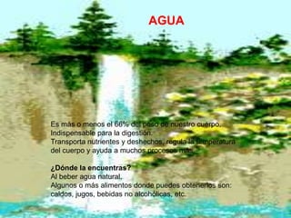 AGUA




Es más o menos el 66% del peso de nuestro cuerpo.
Indispensable para la digestión.
Transporta nutrientes y deshechos, regula la temperatura
del cuerpo y ayuda a muchos procesos más.

¿Dónde la encuentras?
Al beber agua natural.
Algunos o más alimentos donde puedes obtenerlos son:
caldos, jugos, bebidas no alcohólicas, etc.
 