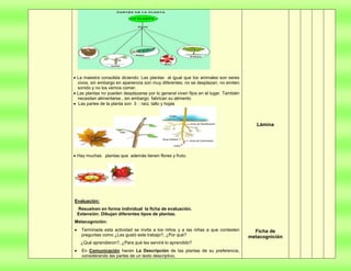 Proyecto  de aprendizaje colaborativo