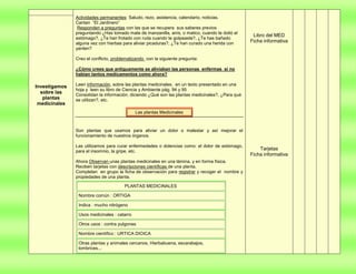 Proyecto  de aprendizaje colaborativo