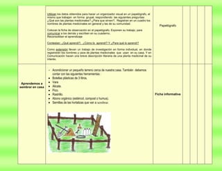 Proyecto  de aprendizaje colaborativo