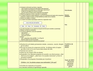 Proyecto  de aprendizaje colaborativo