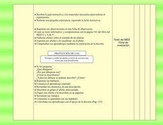 Proyecto  de aprendizaje colaborativo