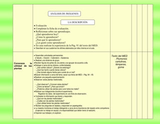 Proyecto  de aprendizaje colaborativo
