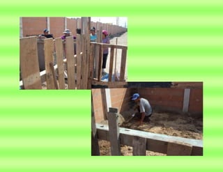 Proyecto  de aprendizaje colaborativo