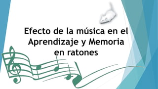 Efecto de la música en el
Aprendizaje y Memoria
en ratones
 