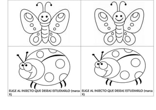 ELIGE AL INSECTO QUE DESEAS ESTUDIARLO (marca
X)
ELIGE AL INSECTO QUE DESEAS ESTUDIARLO (marca
X)
 