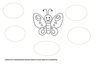 COMPLETA EL ORGANIZADOR GRAFICO DIBUJA LO QUE SABES DE LA MARIPOSA
 