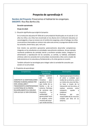 Proyecto de aprendizaje 4
Nombre del Proyecto: Preservemos el habitad de los congompes.
DOCENTE: Riva Rìos Bertha Lilly
Duración aproximada:
Grupo de edad:
1.- Situación significativa que originó el proyecto:
En la institución educativa N° 0356 de la comunidad de Shukshuyaku en el aula de 3, 4,5
años los niños y las niñas han encontrado en las afueras de la institución educativa un
caracol gigante, al que se conoce con el nombre de congompe, ante el hallazgo, los niños
se encuentran interesados en conocer más sobre este animal, se preguntan dónde vivirán
los caracoles, tienen boca, ojos, nariz,etc.
Este interés nos permitirá aprovechar potencialmente desarrollar competencias
integrales en los estudiantes en actividades naturalmente cotidianas. Así por ejemplo
resolverán problemas de cantidad, leerán y escribirán variados textos, indagaran la
alimentación y reproducción de los caracoles, su comida, su habitad, actividades
artísticas sobre los caracoles de la comunidad, reconociendo a Dios como creador de
toda existencia en la naturaleza y fortaleciendo su fe al dar gracias en oración.
También utilizarán las tecnologías para indagar sobre la variedad de caracoles que
existen en la comunidad.
2.- Propósitos de aprendizaje:
Competencias Estándares de
Aprendizaje
Desempeños
CONSTRUYE SU IDENTIDAD,COMO
PERSONA HUMANA,AMADA POR
DIOS ,DIGNA,LIBRE Y
TRASCENDENTE,COMPRENDIENDO
LA DOCTRINA DE SU PROPIA
RELIGIÓN,ABIERTO AL DIÁLOGO
CON LAS QUE LE SON CERCANAS,
Realiza acciones
por propia
iniciativa para
agradecer el amor
que recibe de su
familia y de su
entorno. Participa
de acciones que
muestren su
solidaridad y
generosidad hacia
el prójimo como
muestra del amor
que recibe de Dios.
• Expresa por propia iniciativa
el amor y cuidado que
recibe de su entorno, como
un indicio de amor de Dios.
Lo hace a través de la
interacción con los otros, al
realizar acciones como
compartir, ayudar y
colaborar.
• Participa del uso
responsable de los recursos
creados por Dios en su
entorno.
 