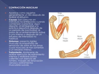 CONTRACCIÓN MUSCULAR Aparece como agujetas generalmente un día después de realizar el esfuerzo. Causas: Son comunes en individuos no entrenados cuando comienzan a practicar algún deporte; al reintegrarse a la práctica deportiva después de un período de inactividad; al pasar de un entrenamiento suave a uno intenso o después de un esfuerzo de intensidad no habitual.Síntomas: presenta rigidez muscular acompañado de sensación de dolor en las zonas cuyos músculos se han sometido a un esfuerzo intenso. Tratamiento: Abstenerse de realizar ejercicios de estiramiento intensos y realizarse baños calientes con esencia de romero, masajes de renovación venosa y estiramientos musculares suaves. 