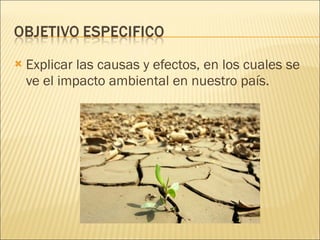 Explicar las causas y efectos, en los cuales se ve el impacto ambiental en nuestro país. 
