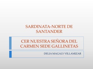 SARDINATA-NORTE DE SANTANDERCER NUESTRA SEÑORA DEL CARMEN SEDE GALLINETAS DELIA MAGALY VILLAMIZAR 