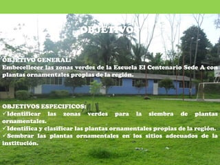 OBJETIVOS

OBJETIVO GENERAL:
Embecellecer las zonas verdes de la Escuela El Centenario Sede A con
plantas ornamentales propias de la región.




OBJETIVOS ESPECIFICOS:
Identificar las zonas verdes para la siembra de plantas
ornamentales.
Identifica y clasificar las plantas ornamentales propias de la región.
Sembrar las plantas ornamentales en los sitios adecuados de la
institución.
 