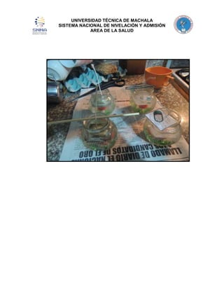UNIVERSIDAD TÉCNICA DE MACHALA
SISTEMA NACIONAL DE NIVELACIÓN Y ADMISIÓN
AREA DE LA SALUD

 
