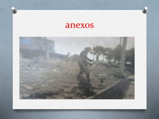 anexos
 