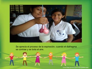 Se aprecia el proceso de la espiración, cuando el diafragma
se contrae y se bota el aire.
 