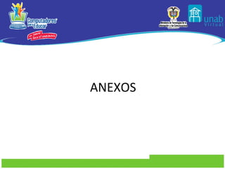ANEXOS
 