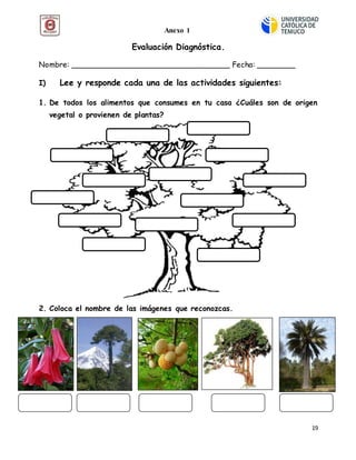 19
Evaluación Diagnóstica.
Nombre: _________________________________ Fecha: ________
I) Lee y responde cada una de las actividades siguientes:
1. De todos los alimentos que consumes en tu casa ¿Cuáles son de origen
vegetal o provienen de plantas?
2. Coloca el nombre de las imágenes que reconozcas.
Anexo 1
 