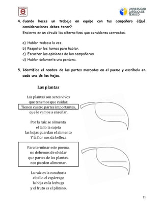 21
4. Cuando haces un trabajo en equipo con tus compañero ¿Qué
consideraciones debes tener?
Encierra en un círculo las alternativas que consideres correctas.
a) Hablar todos a la vez.
b) Respetar los turnos para hablar.
c) Escuchar las opiniones de los compañeros.
d) Hablar solamente una persona.
5. Identifica el nombre de las partes marcadas en el poema y escríbelo en
cada una de las hojas.
Las plantas
Las plantas son seres vivos
que tenemos que cuidar.
Tienen cuatro partes importantes,
que le vamos a enseñar.
Por la raíz se alimenta
el tallo la sujeta
las hojas guardan el alimento
Y la flor nos da belleza
Para terminar este poema,
no debemos de olvidar
que partes de las plantas,
nos pueden alimentar.
La raíz es la zanahoria
el tallo el espárrago
la hoja es la lechuga
y el fruto es el plátano.
 