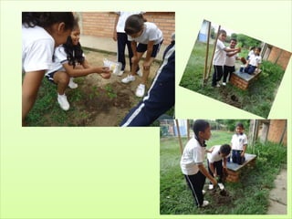 Cuidado del medio ambiente