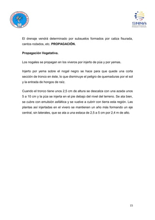15
El drenaje vendrá determinado por subsuelos formados por caliza fisurada,
cantos rodados, etc. PROPAGACIÓN.
Propagación Vegetativa.
Los nogales se propagan en los viveros por injerto de púa y por yemas.
Injerto por yema sobre el nogal negro se hace para que quede una corta
sección de tronco en éste, lo que disminuye el peligro de quemaduras por el sol
y la entrada de hongos de raíz.
Cuando el tronco tiene unos 2,5 cm de altura se descalza con una azada unos
5 a 10 cm y la púa se injerta en el pie debajo del nivel del terreno. Se ata bien,
se cubre con emulsión asfáltica y se vuelve a cubrir con tierra esta región. Las
plantas así injertadas en el vivero se mantienen un año más formando un eje
central, sin laterales, que se ata a una estaca de 2,5 a 5 cm por 2,4 m de alto.
 