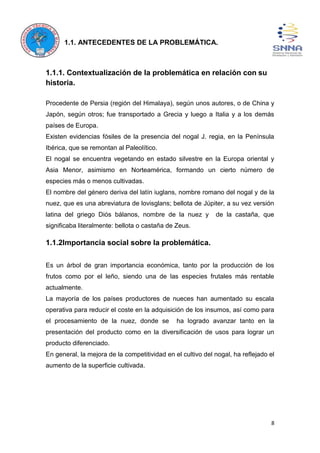8
1.1. ANTECEDENTES DE LA PROBLEMÁTICA.
1.1.1. Contextualización de la problemática en relación con su
historia.
Procedente de Persia (región del Himalaya), según unos autores, o de China y
Japón, según otros; fue transportado a Grecia y luego a Italia y a los demás
países de Europa.
Existen evidencias fósiles de la presencia del nogal J. regia, en la Península
Ibérica, que se remontan al Paleolítico.
El nogal se encuentra vegetando en estado silvestre en la Europa oriental y
Asia Menor, asimismo en Norteamérica, formando un cierto número de
especies más o menos cultivadas.
El nombre del género deriva del latín iuglans, nombre romano del nogal y de la
nuez, que es una abreviatura de lovisglans; bellota de Júpiter, a su vez versión
latina del griego Diós bálanos, nombre de la nuez y de la castaña, que
significaba literalmente: bellota o castaña de Zeus.
1.1.2Importancia social sobre la problemática.
Es un árbol de gran importancia económica, tanto por la producción de los
frutos como por el leño, siendo una de las especies frutales más rentable
actualmente.
La mayoría de los países productores de nueces han aumentado su escala
operativa para reducir el coste en la adquisición de los insumos, así como para
el procesamiento de la nuez, donde se ha logrado avanzar tanto en la
presentación del producto como en la diversificación de usos para lograr un
producto diferenciado.
En general, la mejora de la competitividad en el cultivo del nogal, ha reflejado el
aumento de la superficie cultivada.
 