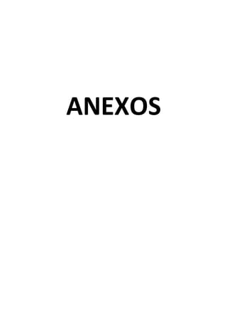 ANEXOS
 
