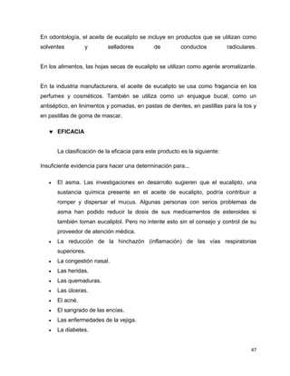 En odontología, el aceite de eucalipto se incluye en productos que se utilizan como 
solventes y selladores de conductos radiculares. 
En los alimentos, las hojas secas de eucalipto se utilizan como agente aromatizante. 
En la industria manufacturera, el aceite de eucalipto se usa como fragancia en los 
perfumes y cosméticos. También se utiliza como un enjuague bucal, como un 
antiséptico, en linimentos y pomadas, en pastas de dientes, en pastillas para la tos y 
en pastillas de goma de mascar. 
47 
 EFICACIA 
La clasificación de la eficacia para este producto es la siguiente: 
Insuficiente evidencia para hacer una determinación para... 
 El asma. Las investigaciones en desarrollo sugieren que el eucalipto, una 
sustancia química presente en el aceite de eucalipto, podría contribuir a 
romper y dispersar el mucus. Algunas personas con serios problemas de 
asma han podido reducir la dosis de sus medicamentos de esteroides si 
también toman eucaliptol. Pero no intente esto sin el consejo y control de su 
proveedor de atención médica. 
 La reducción de la hinchazón (inflamación) de las vías respiratorias 
superiores. 
 La congestión nasal. 
 Las heridas. 
 Las quemaduras. 
 Las úlceras. 
 El acné. 
 El sangrado de las encías. 
 Las enfermedades de la vejiga. 
 La diabetes. 
 