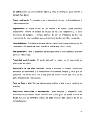 Es estimulante: Es broncodilatador (dilata y relaja los bronquios para permitir el 
correcto flujo de aire) 
Poder cicatrizante: En uso externo, es cicatrizante de heridas y enfermedades de la 
piel como eczemas. 
Expectorante: El aceite diluido en uso interno o en vahos, posee propiedad 
expectorante (elimina el exceso de mucus de las vías respiratorias), y alivia 
afecciones de garganta y laringe; además de ser un antiséptico de las vías 
respiratorias. En esta modalidad, se puede combinar también con tilo y manzanilla. 
Para diabéticos: Sus hojas en infusión ayudan a reducir el azúcar en la sangre. Se 
recomienda utilizarlo sin excesos, no más de una taza de infusión al día. 
Anti-parasitario: Tanto la decocción de las hojas como el aceite esencial, expulsan 
parásitos intestinales. 
Propiedad desinfectante: El aceite esencial, se utiliza en el tratamiento de 
infecciones por piojos. 
Antiséptico de las vías urinarias: Ayuda a combatir o prevenir infecciones, 
inhibiendo el crecimiento y la reproducción de bacterias, hongos y virus que las 
ocasionan. Se deben tomar una a dos gotas de aceite esencial dos veces al día 
como antiséptico de vías urinarias. 
Para purificar el aire: Es muy utilizado para purificar el aire y como repelente de 
insectos. 
Afecciones musculares y esqueléticas: Como relajante y analgésico. Para 
afecciones musculares se hacen fricciones con cuatro gotas de aceite esencial en 
100cc de aceite de almendras dulces. Se debe friccionar dos veces al día en las 
zonas afectadas. 
49 
 