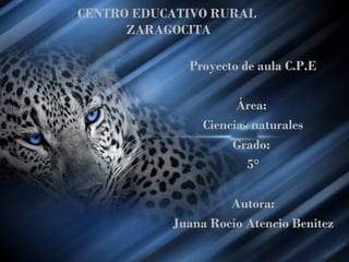 CENTRO EDUCATIVO RURAL
      ZARAGOCITA

             Proyecto de aula C.P.E

                      Área:
                Ciencias naturales
                     Grado:
                        5°

                    Autora:
           Juana Rocío Atencio Benitez
 