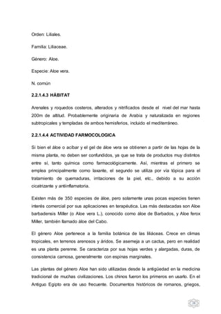 26
Orden: Liliales.
Familia: Liliaceae.
Género: Aloe.
Especie: Aloe vera.
N. común
2.2.1.4.3 HÁBITAT
Arenales y roquedos costeros, alterados y nitrificados desde el nivel del mar hasta
200m de altitud. Probablemente originaria de Arabia y naturalizada en regiones
subtropicales y templadas de ambos hemisferios, incluido el mediterráneo.
2.2.1.4.4 ACTIVIDAD FARMOCOLOGICA
Si bien el áloe o acíbar y el gel de áloe vera se obtienen a partir de las hojas de la
misma planta, no deben ser confundidos, ya que se trata de productos muy distintos
entre sí, tanto química como farmacológicamente. Así, mientras el primero se
emplea principalmente como laxante, el segundo se utiliza por vía tópica para el
tratamiento de quemaduras, irritaciones de la piel, etc., debido a su acción
cicatrizante y antiinflamatoria.
Existen más de 350 especies de áloe, pero solamente unas pocas especies tienen
interés comercial por sus aplicaciones en terapéutica. Las más destacadas son Aloe
barbadensis Miller (o Aloe vera L.), conocido como áloe de Barbados, y Aloe ferox
Miller, también llamado áloe del Cabo.
El género Aloe pertenece a la familia botánica de las liliáceas. Crece en climas
tropicales, en terrenos arenosos y áridos. Se asemeja a un cactus, pero en realidad
es una planta perenne. Se caracteriza por sus hojas verdes y alargadas, duras, de
consistencia carnosa, generalmente con espinas marginales.
Las plantas del género Aloe han sido utilizadas desde la antigüedad en la medicina
tradicional de muchas civilizaciones. Los chinos fueron los primeros en usarlo. En el
Antiguo Egipto era de uso frecuente. Documentos históricos de romanos, griegos,
 