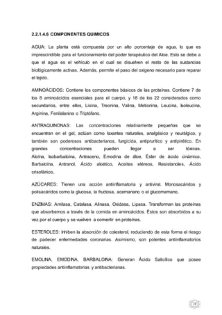 28
2.2.1.4.6 COMPONENTES QUIMICOS
AGUA: La planta está compuesta por un alto porcentaje de agua, lo que es
imprescindible para el funcionamiento del poder terapéutico del Aloe. Esto se debe a
que el agua es el vehículo en el cual se disuelven el resto de las sustancias
biológicamente activas. Además, permite el paso del oxígeno necesario para reparar
el tejido.
AMINOÁCIDOS: Contiene los componentes básicos de las proteínas. Contiene 7 de
los 8 aminoácidos esenciales para el cuerpo, y 18 de los 22 considerados como
secundarios, entre ellos, Lisina, Treonina, Valina, Metionina, Leucina, Isoleucina,
Arginina, Fenilalanina o Triptófano.
ANTRAQUINONAS: Las concentraciones relativamente pequeñas que se
encuentran en el gel, actúan como laxantes naturales, analgésico y neurálgico, y
también son poderosos antibacterianos, fungicida, antiprurítico y antipirético. En
grandes concentraciones pueden llegar a ser tóxicas.
Aloína, Isobarbaloína, Antraceno, Emodina de áloe, Éster de ácido cinámico,
Barbaloína, Antranol, Ácido aloético, Aceites etéreos, Resistanoles, Ácido
crisofánico.
AZÚCARES: Tienen una acción antiinflamatoria y antiviral. Monosacáridos y
polisacáridos como la glucosa, la fructosa, acemanano o el glucomamano.
ENZIMAS: Amilasa, Catalasa, Alinasa, Oxidasa, Lipasa. Transforman las proteínas
que absorbemos a través de la comida en aminoácidos. Éstos son absorbidos a su
vez por el cuerpo y se vuelven a convertir en proteínas.
ESTEROLES: Inhiben la absorción de colesterol, reduciendo de esta forma el riesgo
de padecer enfermedades coronarias. Asimismo, son potentes antiinflamatorios
naturales.
EMOLINA, EMODINA, BARBALOINA: Generan Ácido Salicílico que posee
propiedades antiinflamatorias y antibacterianas.
 