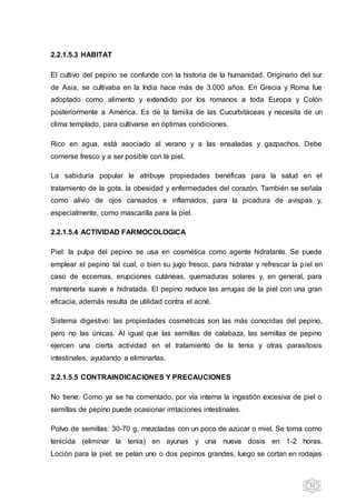 31
2.2.1.5.3 HABITAT
El cultivo del pepino se confunde con la historia de la humanidad. Originario del sur
de Asia, se cultivaba en la India hace más de 3.000 años. En Grecia y Roma fue
adoptado como alimento y extendido por los romanos a toda Europa y Colón
posteriormente a América. Es de la familia de las Cucurbitáceas y necesita de un
clima templado, para cultivarse en óptimas condiciones.
Rico en agua, está asociado al verano y a las ensaladas y gazpachos. Debe
comerse fresco y a ser posible con la piel.
La sabiduría popular le atribuye propiedades benéficas para la salud en el
tratamiento de la gota, la obesidad y enfermedades del corazón. También se señala
como alivio de ojos cansados e inflamados; para la picadura de avispas y,
especialmente, como mascarilla para la piel.
2.2.1.5.4 ACTIVIDAD FARMOCOLOGICA
Piel: la pulpa del pepino se usa en cosmética como agente hidratante. Se puede
emplear el pepino tal cual, o bien su jugo fresco, para hidratar y refrescar la piel en
caso de eccemas, erupciones cutáneas, quemaduras solares y, en general, para
mantenerla suave e hidratada. El pepino reduce las arrugas de la piel con una gran
eficacia, además resulta de utilidad contra el acné.
Sistema digestivo: las propiedades cosméticas son las más conocidas del pepino,
pero no las únicas. Al igual que las semillas de calabaza, las semillas de pepino
ejercen una cierta actividad en el tratamiento de la tenia y otras parasitosis
intestinales, ayudando a eliminarlas.
2.2.1.5.5 CONTRAINDICACIONES Y PRECAUCIONES
No tiene. Como ya se ha comentado, por vía interna la ingestión excesiva de piel o
semillas de pepino puede ocasionar irritaciones intestinales.
Polvo de semillas: 30-70 g, mezcladas con un poco de azúcar o miel. Se toma como
tenicida (eliminar la tenia) en ayunas y una nueva dosis en 1-2 horas.
Loción para la piel: se pelan uno o dos pepinos grandes, luego se cortan en rodajas
 
