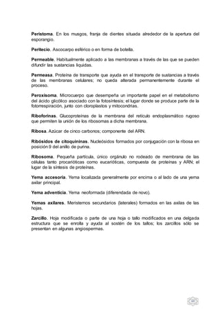 69
Perístoma. En los musgos, franja de dientes situada alrededor de la apertura del
esporangio.
Peritecio. Ascocarpo esférico o en forma de botella.
Permeable. Habitualmente aplicado a las membranas a través de las que se pueden
difundir las sustancias liquidas.
Permeasa. Proteína de transporte que ayuda en el transporte de sustancias a través
de las membranas celulares; no queda alterada permanentemente durante el
proceso.
Peroxisoma. Microcuerpo que desempeña un importante papel en el metabolismo
del ácido glicólico asociado con la fotosíntesis; el lugar donde se produce parte de la
fotorrespiración, junto con cloroplastos y mitocondrias.
Riboforinas. Glucoproteínas de la membrana del retículo endoplasmático rugoso
que permiten la unión de los ribosomas a dicha membrana.
Ribosa. Azúcar de cinco carbonos; componente del ARN.
Ribósidos de citoquininas. Nucleósidos formados por conjugación con la ribosa en
posición 9 del anillo de purina.
Ribosoma. Pequeña partícula, único orgánulo no rodeado de membrana de las
células tanto procarióticas como eucarióticas, compuesta de proteínas y ARN; el
lugar de la síntesis de proteínas.
Yema accesoria. Yema localizada generalmente por encima o al lado de una yema
axilar principal.
Yema adventicia. Yema neoformada (diferendada de novo).
Yemas axilares. Meristemos secundarios (laterales) formados en las axilas de las
hojas.
Zarcillo. Hoja modificada o parte de una hoja o tallo modificados en una delgada
estructura que se enrolla y ayuda al sostén de los tallos; los zarcillos sólo se
presentan en algunas angiospermas.
 