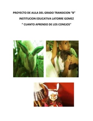 PROYECTO DE AULA DEL GRADO TRANSICION “B”
    INSTITUCION EDUCATIVA LATORRE GOMEZ
     “ CUANTO APRENDO DE LOS CONEJOS"
 
