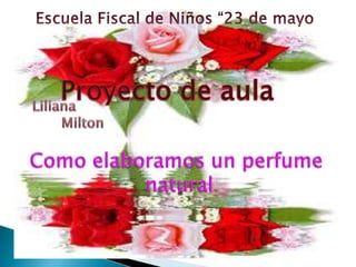 Escuela Fiscal de Niños “23 de mayo Proyecto de aula  Liliana             Milton Como elaboramos un perfume  natural 