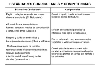 ESTÁNDARES CURRICULARES Y COMPETENCIAS Que el proyecto pueda ser aplicado en todas las sedes del CELAV. Motivar  al estudiante para que se interesen  mas por la investigación. Dar un  adecuado uso  a estas especies vegetales y  velar por su preservación.  Que el estudiante reconozca el valor curativo y económico que pueden llegar a tener estas plantas en la vida del hombre y los animales. Explico adaptaciones de los  seres vivos al ambiente (C. Naturales ) •  Busco información en distintas fuentes: personas, medios de comunicación y libros, entre otras (Español ) Respeto y cuido los seres vivos y los objetos de mi entorno .(Ética y valores) Realizo estimaciones de medidas requeridas en la resolución de problemas relativos particularmente a la vida social, económica y de las ciencias.(Matemáticas ) Competencias Estándares Curriculares 