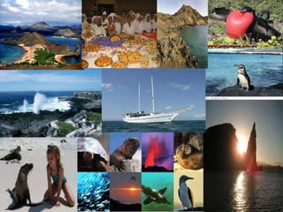 Proyecto de aula maribel coello(bicentenario)