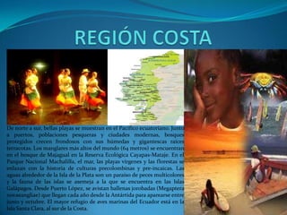 De norte a sur, bellas playas se muestran en el Pacífico ecuatoriano. Junto
a puertos, poblaciones pesqueras y ciudades modernas, bosques
protegidos crecen frondosos con sus húmedas y gigantescas raíces
terracotas. Los manglares más altos del mundo (64 metros) se encuentran
en el bosque de Majagual en la Reserva Ecológica Cayapas-Mataje. En el
Parque Nacional Machalilla, el mar, las playas vírgenes y las florestas se
enlazan con la historia de culturas precolombinas y pre-incaicas. Las
aguas alrededor de la Isla de la Plata son un paraíso de peces multicolores
y la fauna de las islas se asemeja a la que se encuentra en las Islas
Galápagos. Desde Puerto López, se avistan ballenas jorobadas (Megaptera
novaeangliae) que llegan cada año desde la Antártida para aparearse entre
junio y octubre. El mayor refugio de aves marinas del Ecuador está en la
Isla Santa Clara, al sur de la Costa.
 