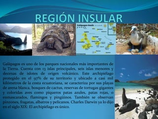 Galápagos es uno de los parques nacionales más importantes de
la Tierra. Cuenta con 13 islas principales, seis islas menores y
decenas de islotes de origen volcánico. Este archipiélago
protegido en el 97% de su territorio y ubicado a casi mil
kilómetros de la costa ecuatoriana, se caracteriza por sus playas
de arena blanca, bosques de cactus, reservas de tortugas gigantes
y coloridas aves como piqueros patas azules, patas rojas, o
enmascarados, flamingos y pingüinos. También se observan
pinzones, fragatas, albatros y pelícanos. Charles Darwin ya lo dijo
en el siglo XIX: El archipiélago es único.
 