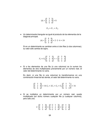 19
|A| =
2 3 2
1 2 4
3 5 6
= 0
F3 = F1 + F2
 Un determinante triangular es igual al producto de los elementos de la
diagonal principal.
|A| =
2 0 0
1 2 0
3 5 6
= 2 ∙ 2 ∙ 6 = 24
Si en un determinante se cambian entre sí dos filas (o dos columnas),
su valor sólo cambia de signo.
𝐹1
3
𝐹2
2 1 2
1 2 0
3 5 6
= −
1 2 0
2 2 2
3 5 6
 Si a los elementos de una fila (o una columna) se le suman los
elementos de otra multiplicados previamente por un número real, el
valor del determinante no varía.
Es decir, si una fila (o una columna) la transformamos en una
combinación lineal de las demás, el valor del determinante no varía.
2 1 2
1 2 0
3 5 6
= 16 𝐶3 = 2𝐶1 + 𝐶2 + 𝐶3
2 1 7
1 2 4
3 5 17
= 16
 Si se multiplica un determinante por un número real, queda
multiplicado por dicho número cualquier fila (o cualquier columna),
pero sólo una.
2 ∙
2 1 2
1 2 0
3 5 6
=
2 ∙ 2 1 2
1 ∙ 2 2 0
3 ∙ 2 5 6
=
4 1 2
2 2 0
6 5 6
 