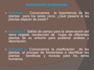 Actividades propuestas

   Actividad 1: Conozcamos la importancia de las
    plantas para los seres vivos. ¿Qué pasaría si las
    plantas dejaran de existir?


   Actividad 2: Salida de campo para la observación del
    reino vegetal, recolección de hojas de diferentes
    plantas de su entorno para posterior análisis y
    descripción.

   Actividad 3: Conozcamos la clasificación de las
    plantas, el proceso de fotosíntesis e identificar las
    plantas     benéficas y nocivas para los seres
    humanos.
 