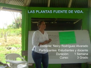 Docente: Neicy Rodríguez Alvarado
Participantes: Estudiantes y docente
             Duración:    1 Semana
                Curso:       3 Grado
 